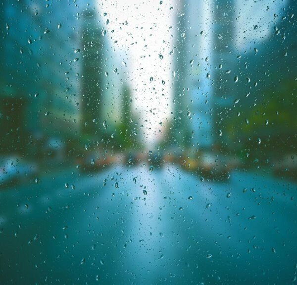 organic website traffic solutions